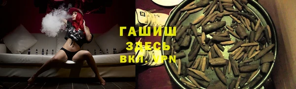 мет Алексин