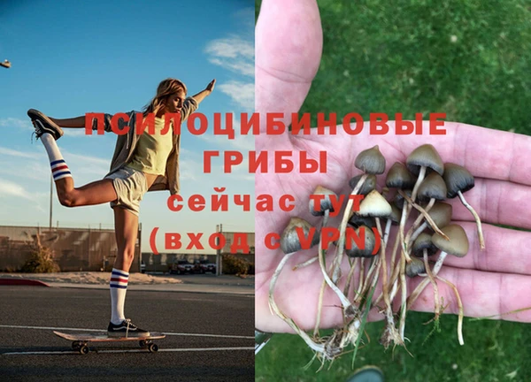 прущая мука Алексеевка