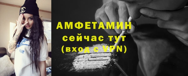 мет Алексин