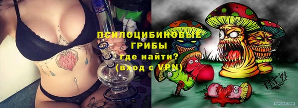 МДПВ Алзамай