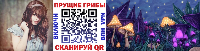MEGA рабочий сайт  Кувшиново  Галлюциногенные грибы прущие грибы  закладки 